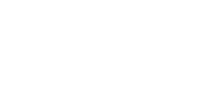 Negroponte